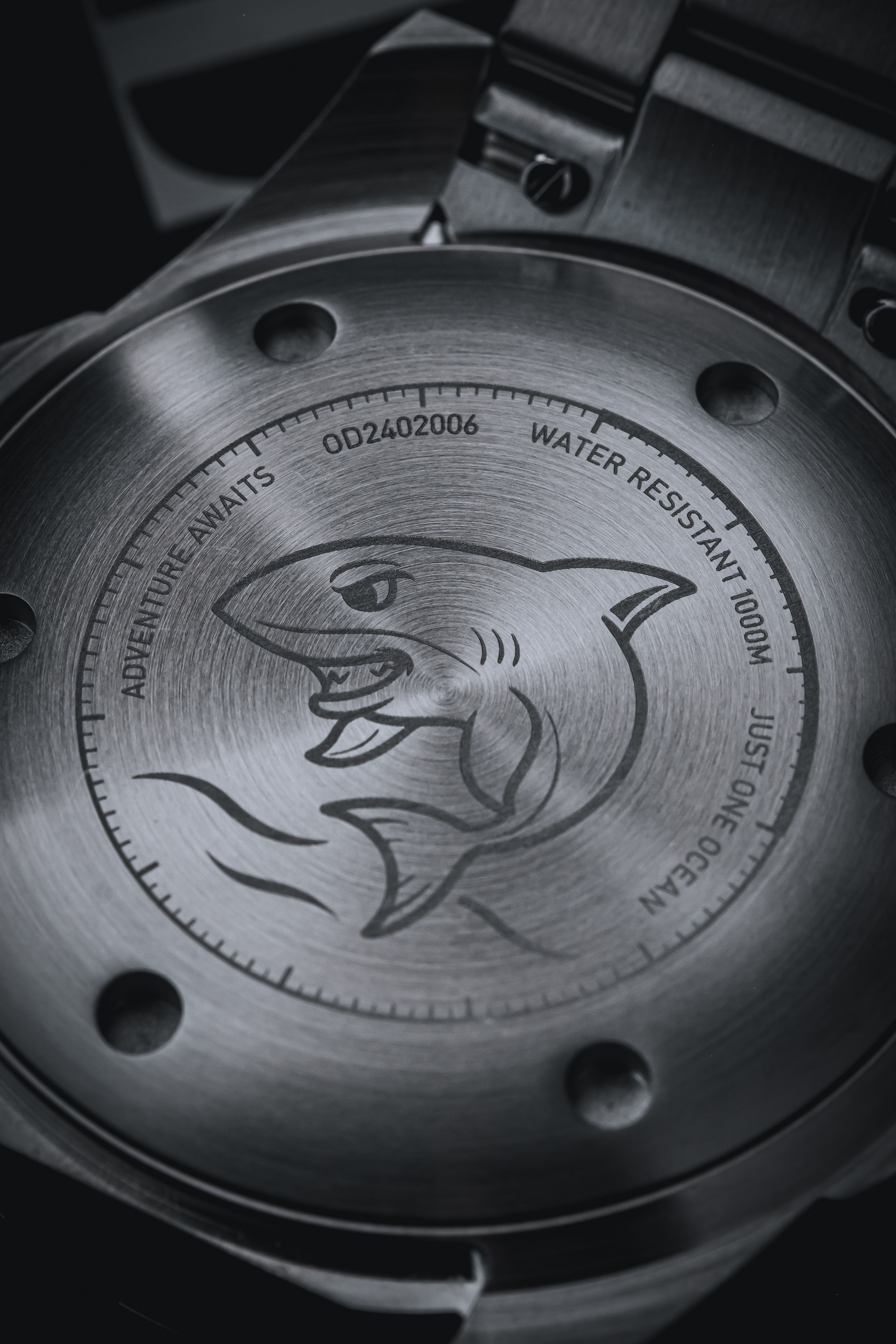 Odyssey caseback